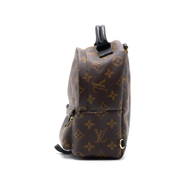 Louis Vuitton Palm Springs Mini Old Zipper