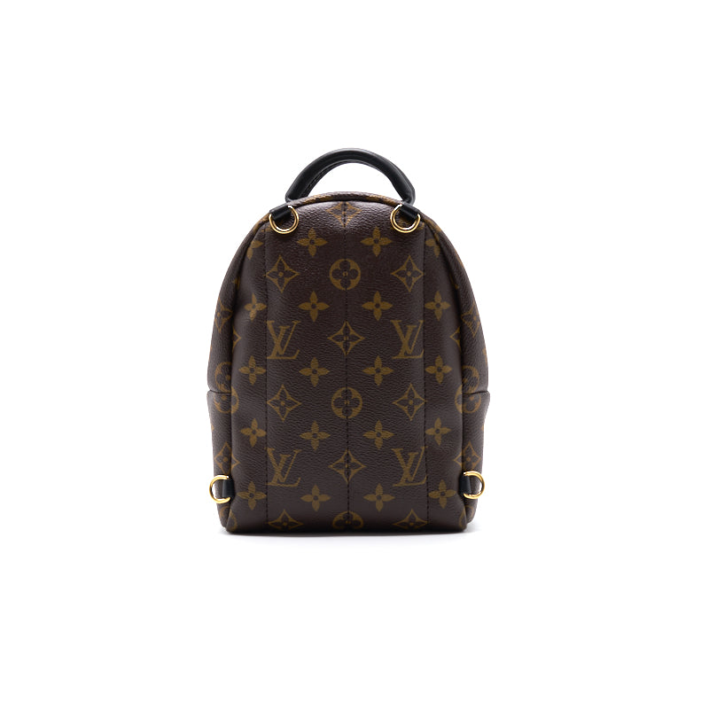 Louis Vuitton Palm Springs Mini Old Zipper