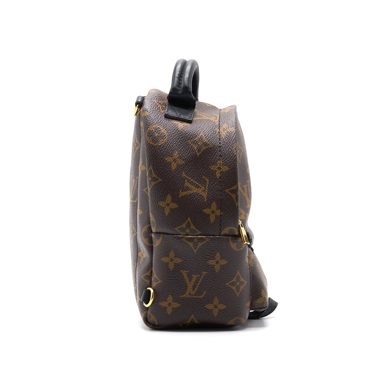 Louis Vuitton Palm Springs Mini Old Zipper